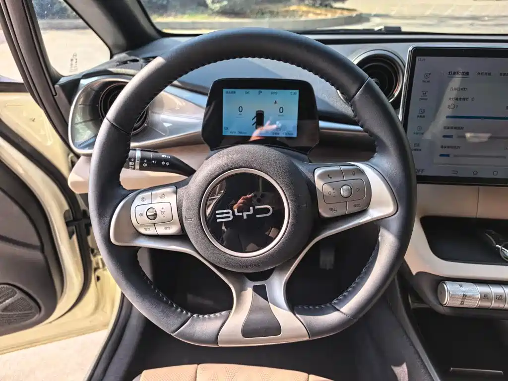 BYD Dolphin 2024