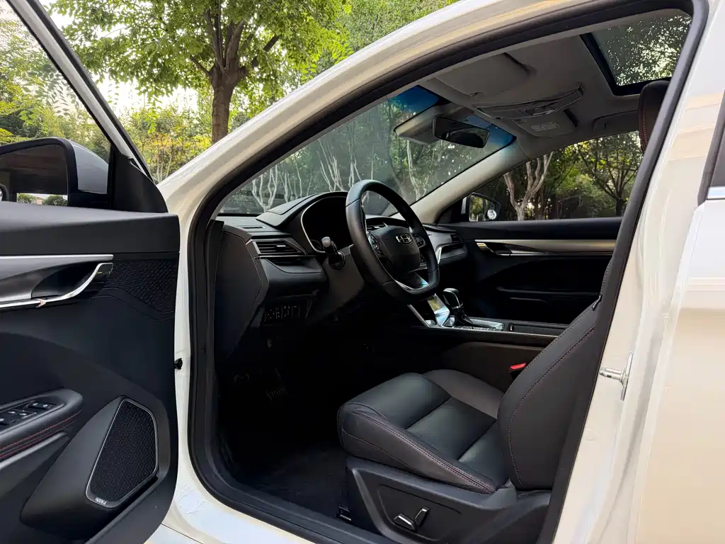 Geely Binrui 2019