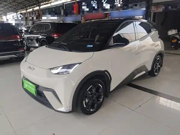 BYD Seagull 2024