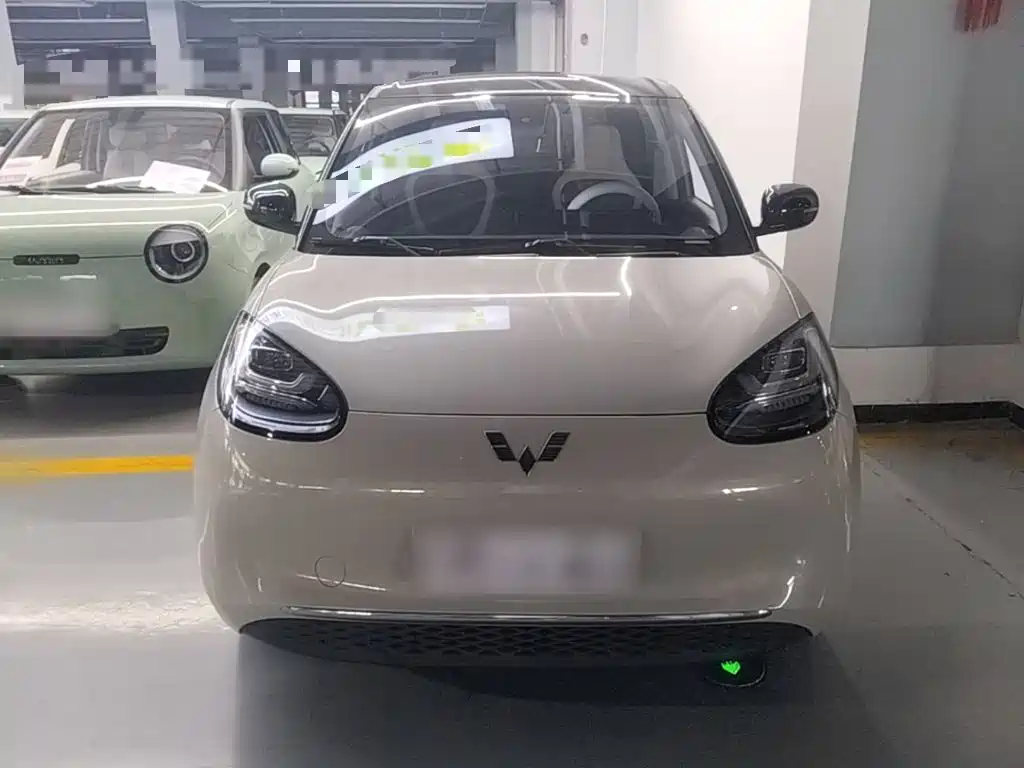 Wuling Bingo 2024