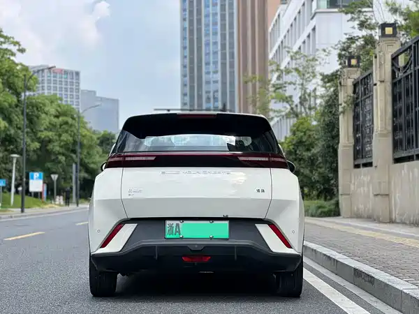 BYD Seagull 2024