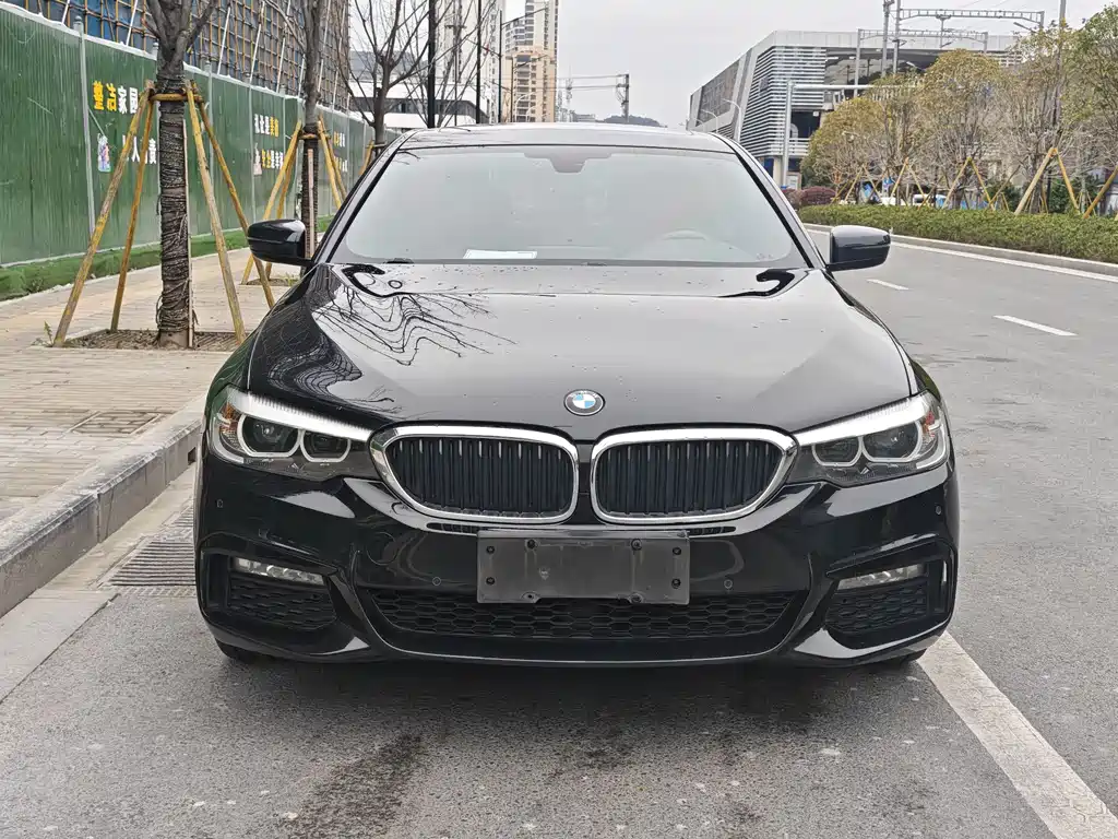 BMW 5 Series 2018 — фото 2