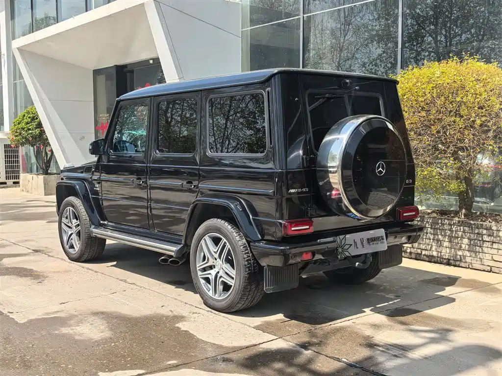 Mercedes-Benz G-Class 2017 — фото 3