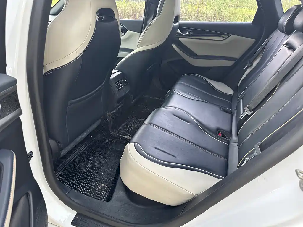 BYD Qin PLUS 2021