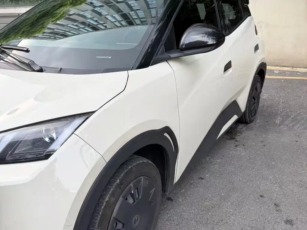 BYD Seagull 2024