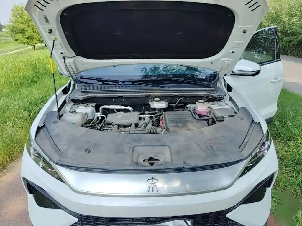 BYD Song Pro New Energy 2025 — фото 20