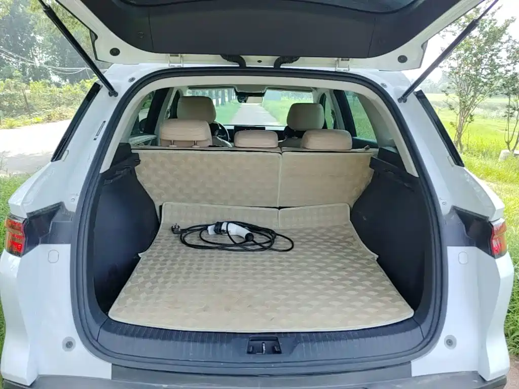 BYD Song Pro New Energy 2025 — фото 19