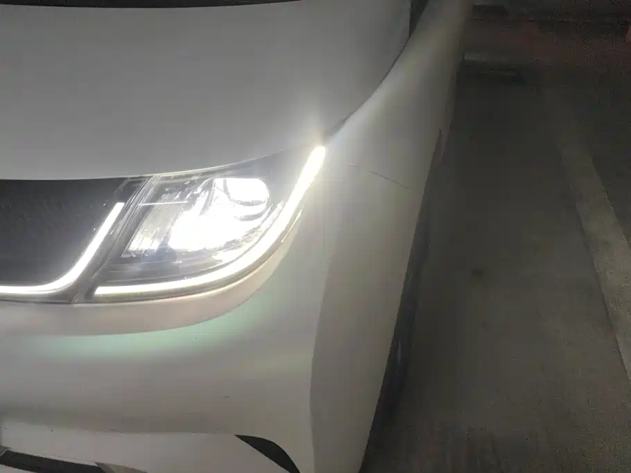 BYD Dolphin 2021