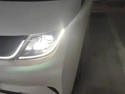 BYD Dolphin 2021