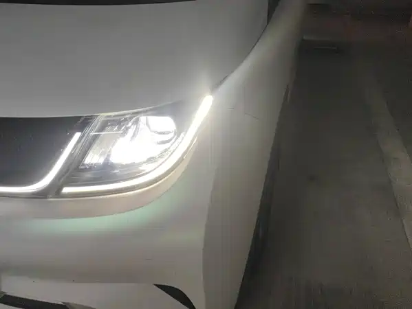 BYD Dolphin 2021