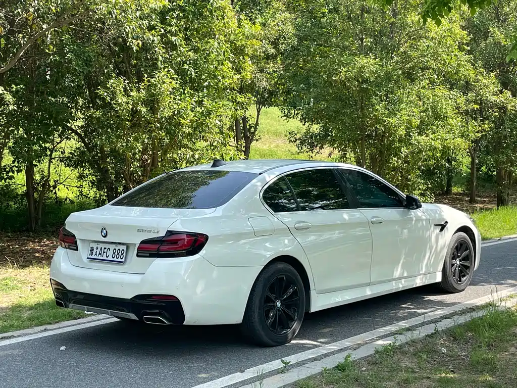 BMW 5 Series 2015 — фото 9