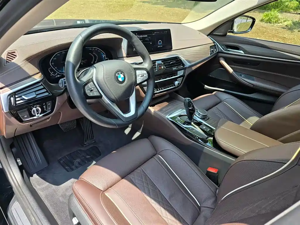 BMW 5 Series New Energy 2020 — фото 5