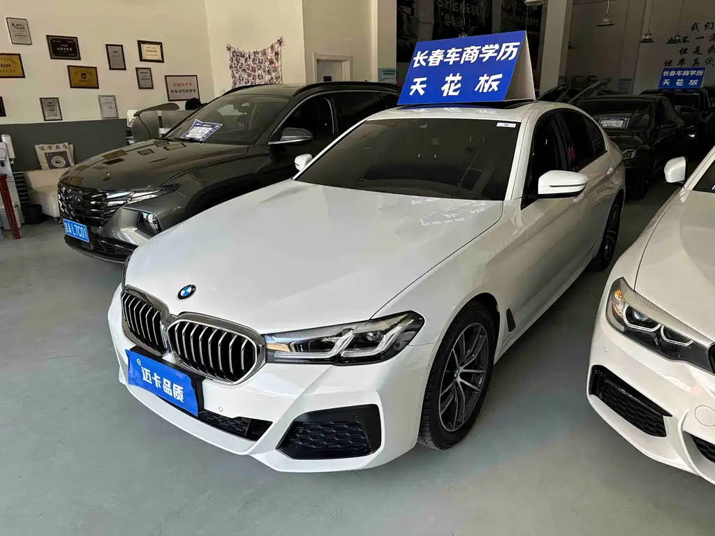 BMW 5 Series 2021