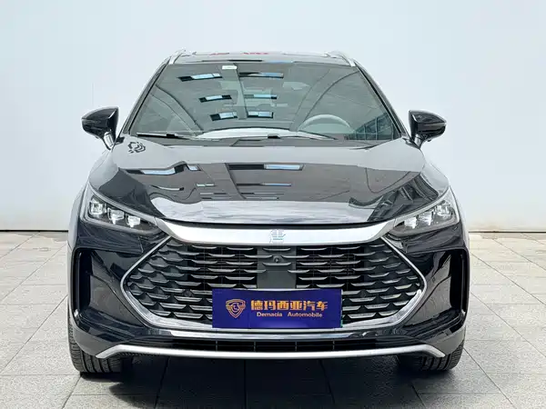 BYD Tang New Energy 2024