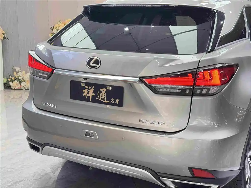 Lexus RX 2022 — фото 22