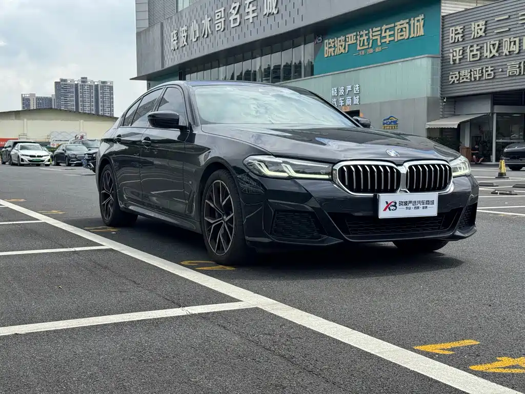 BMW 5 Series 2021
