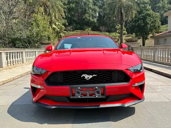 Ford Mustang 2019