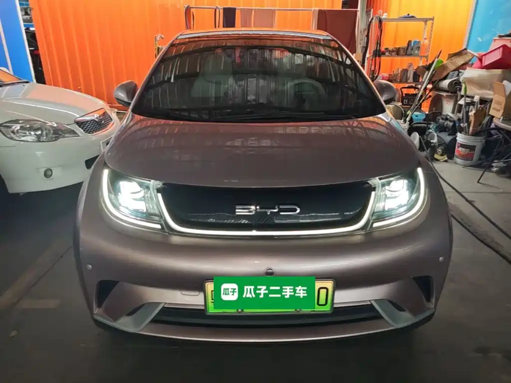 BYD Dolphin 2022