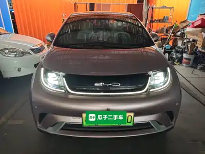 BYD Dolphin 2022