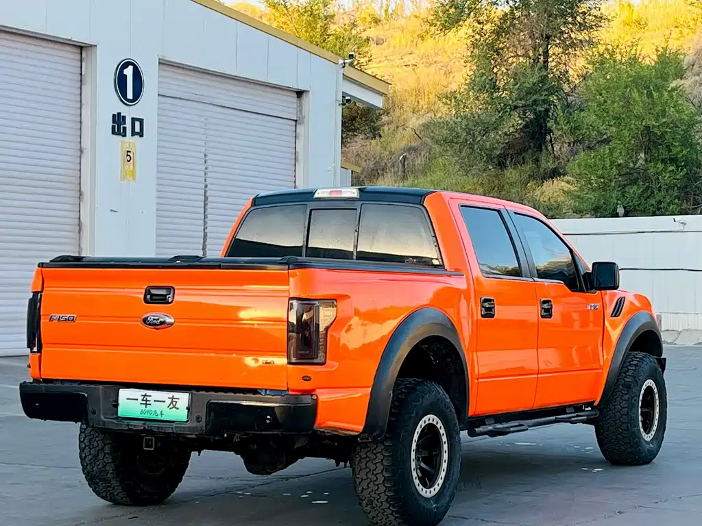 Ford F-150 Raptor 2016 — фото 9