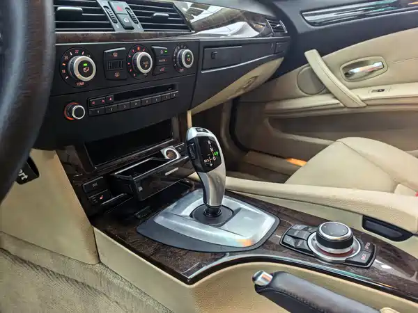 BMW 5 Series 2010