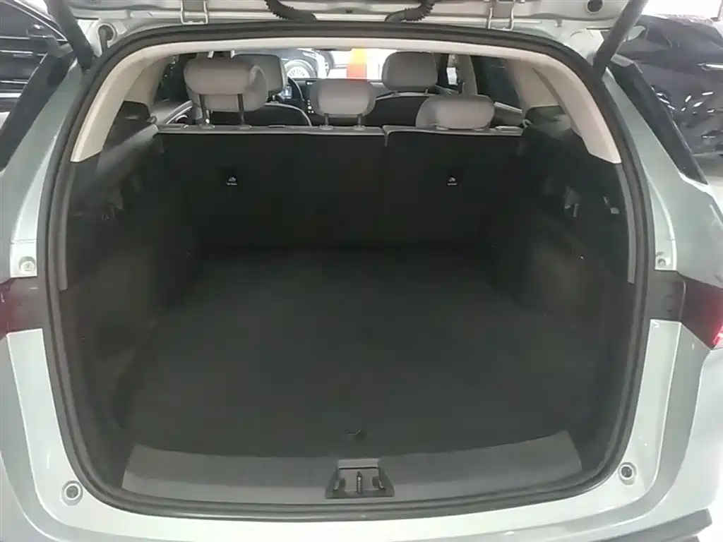 BYD Seal 06 DM-i Wagon 2025 — фото 19