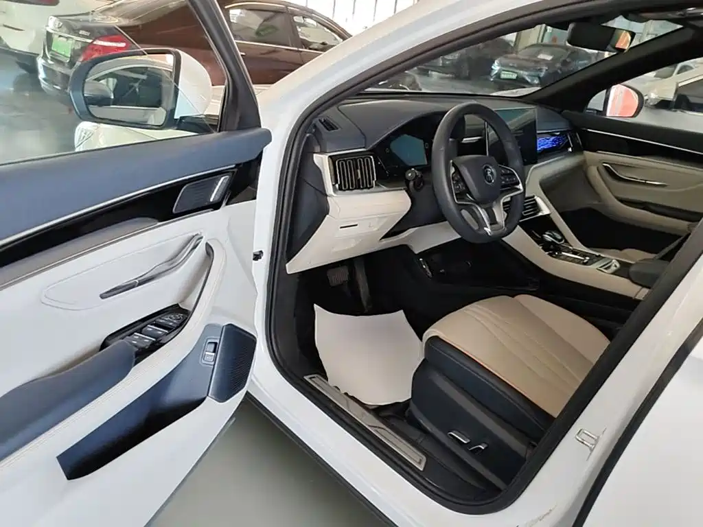 BYD PLUS New Energy 2023 — фото 16