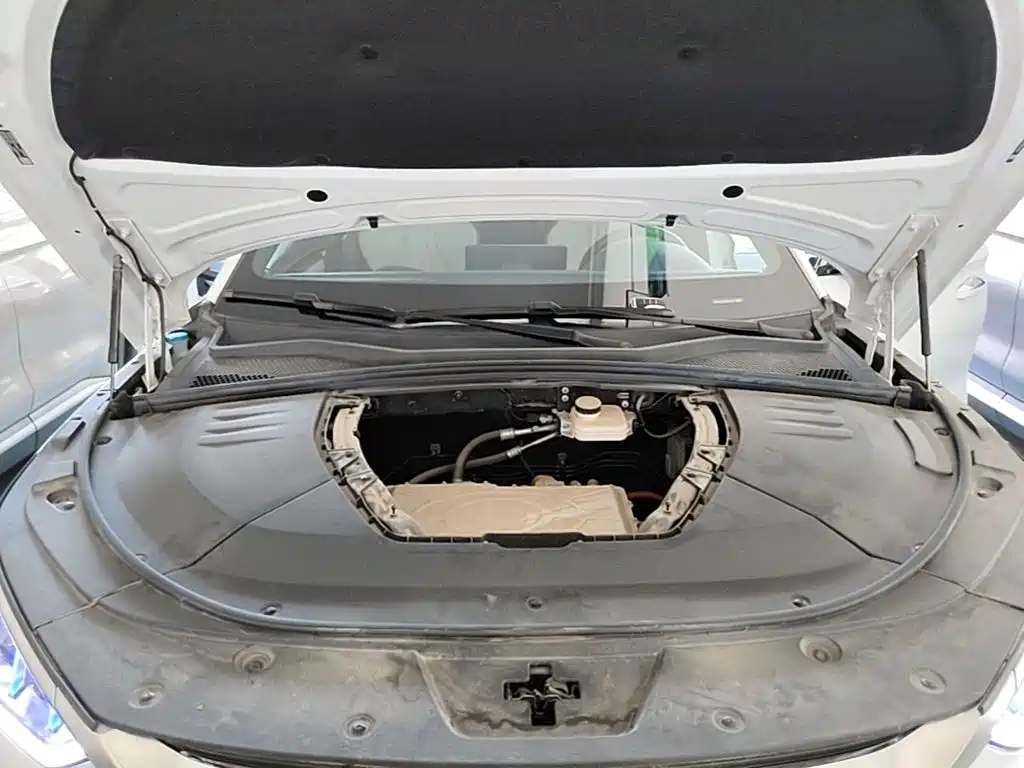 BYD PLUS New Energy 2023 — фото 20