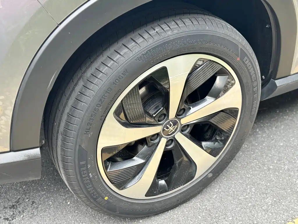 BYD PLUS New Energy 2022 — фото 23