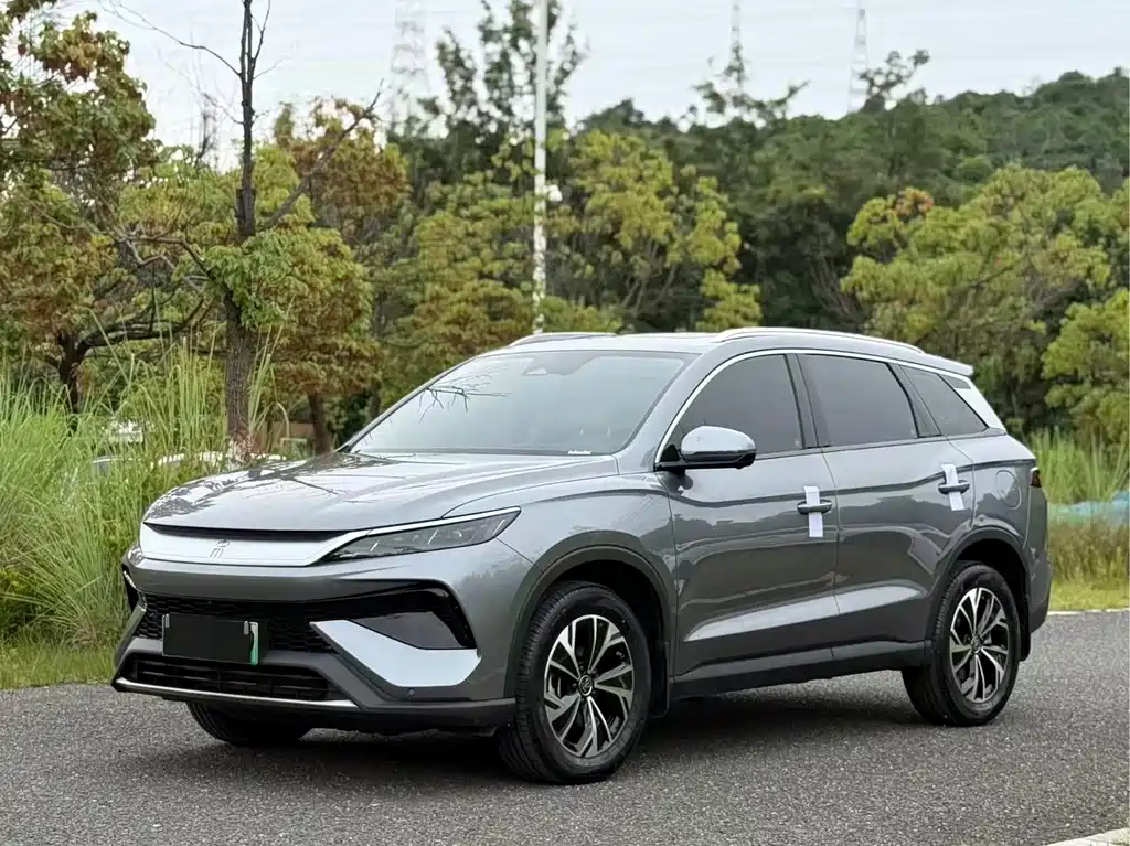 BYD Song Pro New Energy 2024 — фото 1