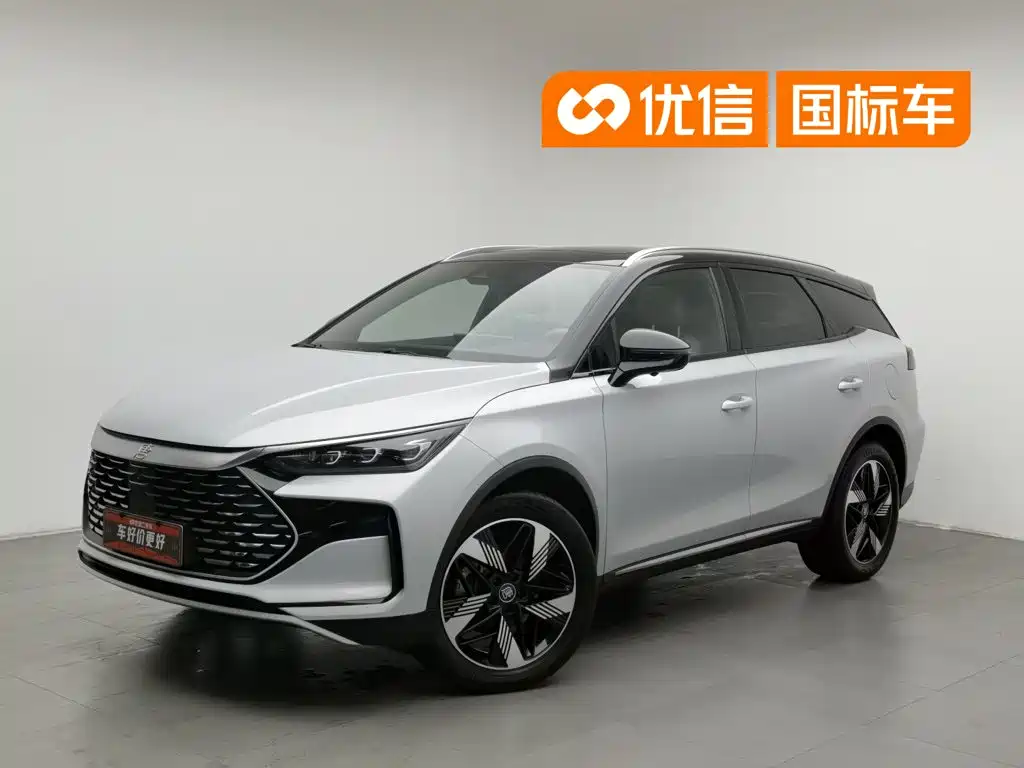BYD Tang New Energy 2024 — фото 1