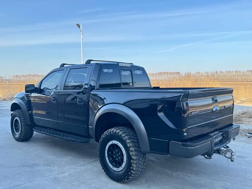 Ford F-150 Raptor 2015 — фото 4