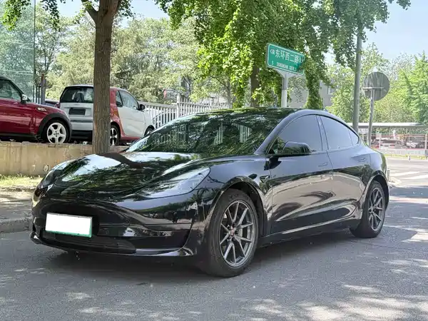 Tesla Model 3 2021