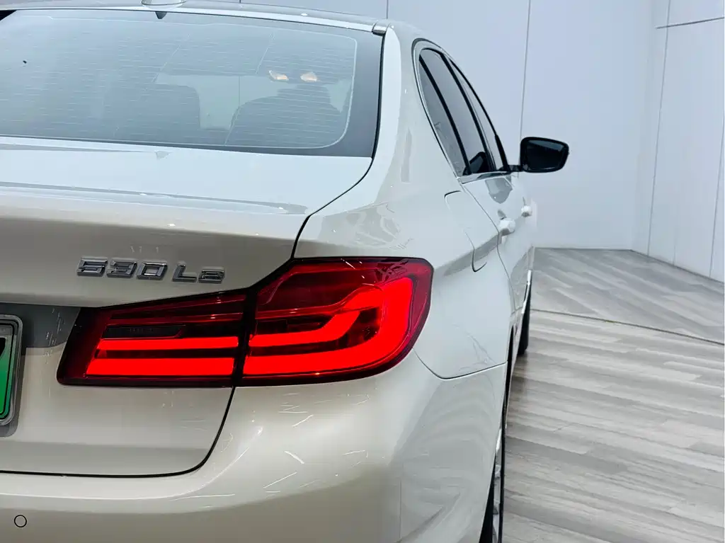 BMW 5 Series New Energy 2020 — фото 27