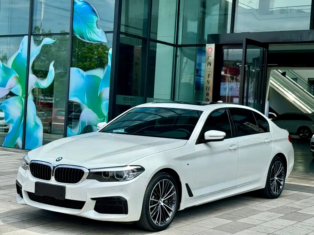 BMW 5 Series 2019 — фото 1