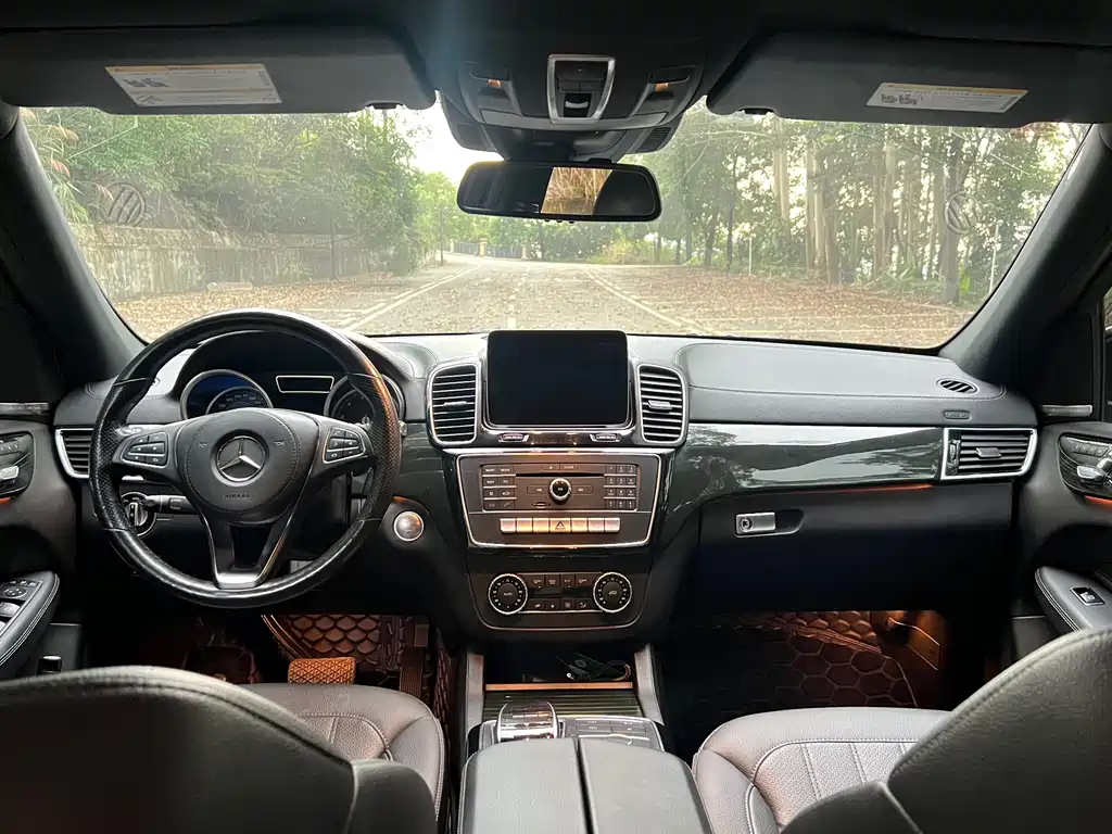Mercedes-Benz GLS 2017 — фото 12