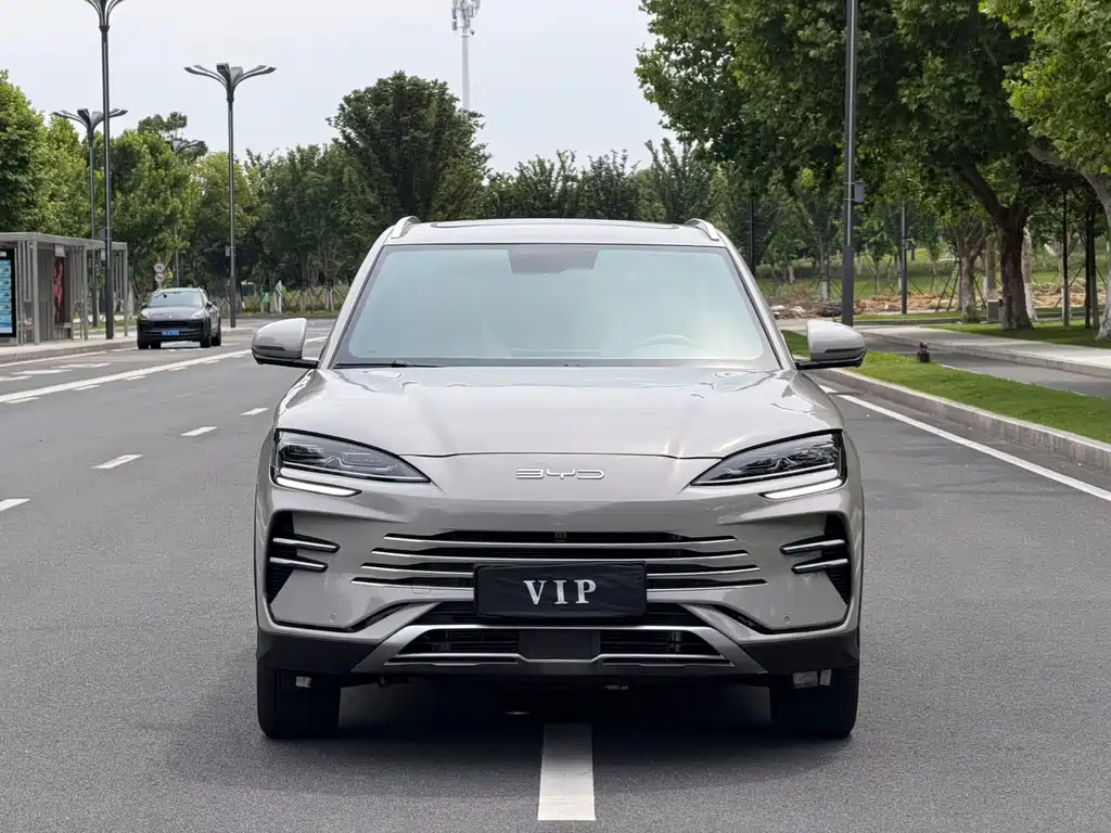 BYD PLUS New Energy 2025 — фото 2