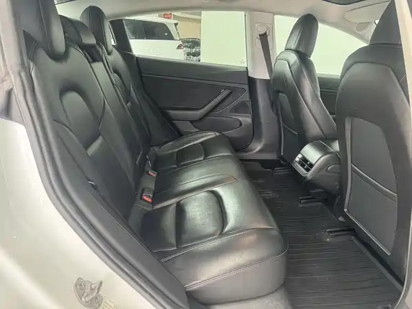 Tesla Model 3 2019