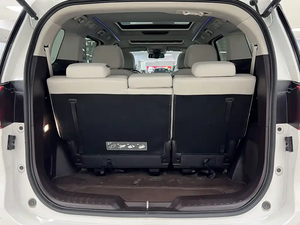 GAC Trumpchi M8 2021 — фото 18