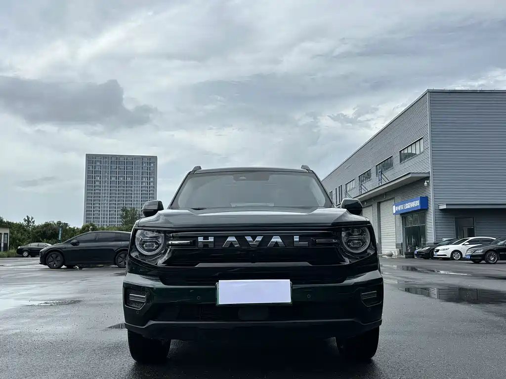 Haval Dog PLUS 2026 — фото 10