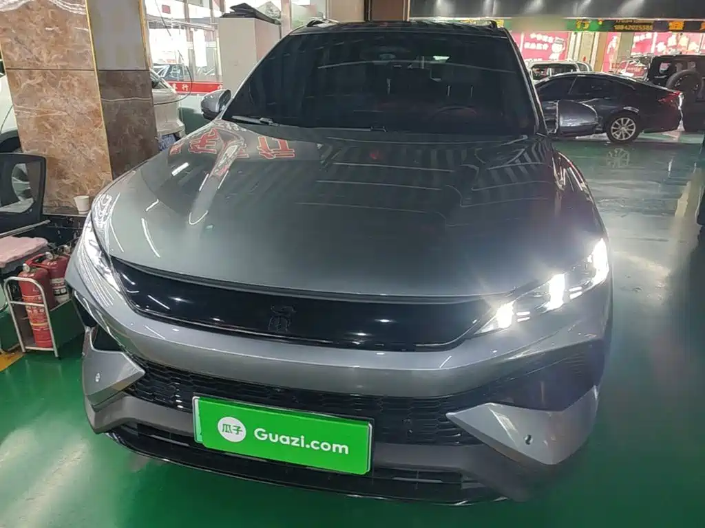 BYD Pro New Energy 2025 — фото 3