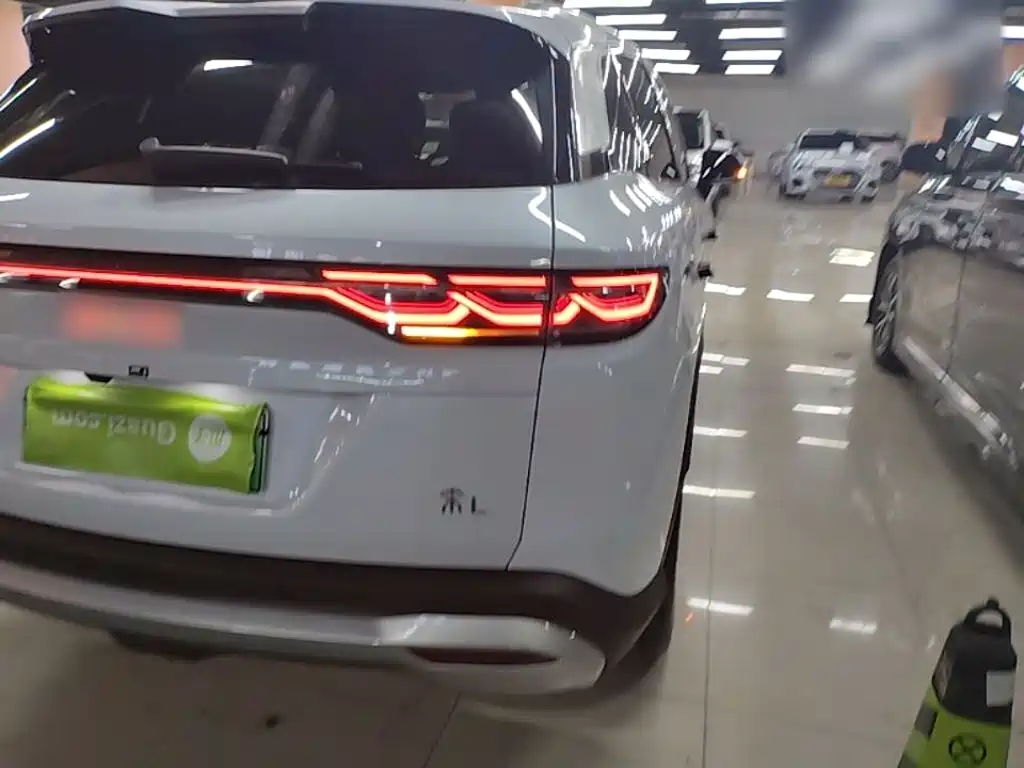 BYD L DM-i 2024 — фото 8
