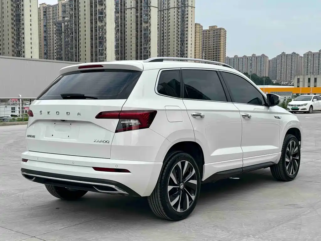 Skoda Karoq 2022 — фото 6