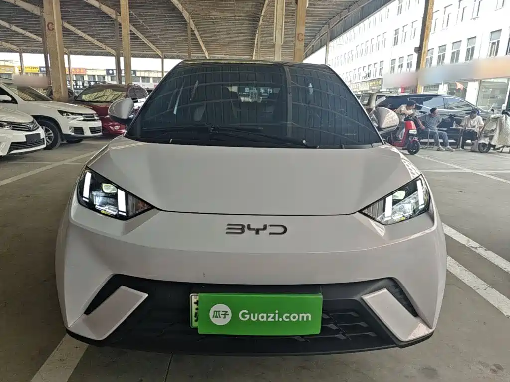 BYD Seagull 2024