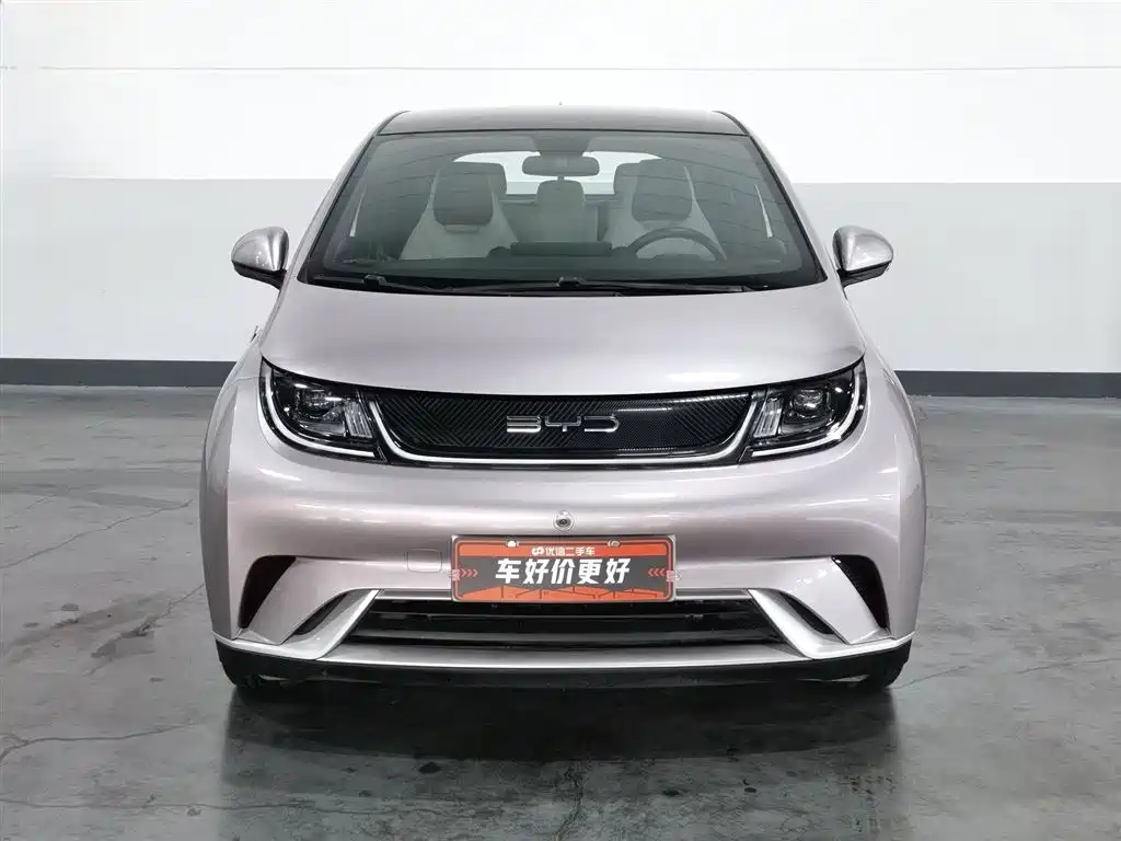BYD Dolphin 2022
