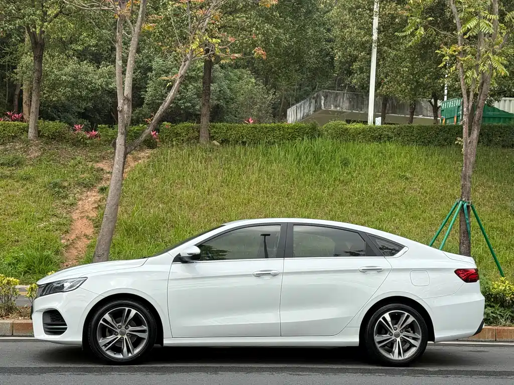 Geely Binrui 2019