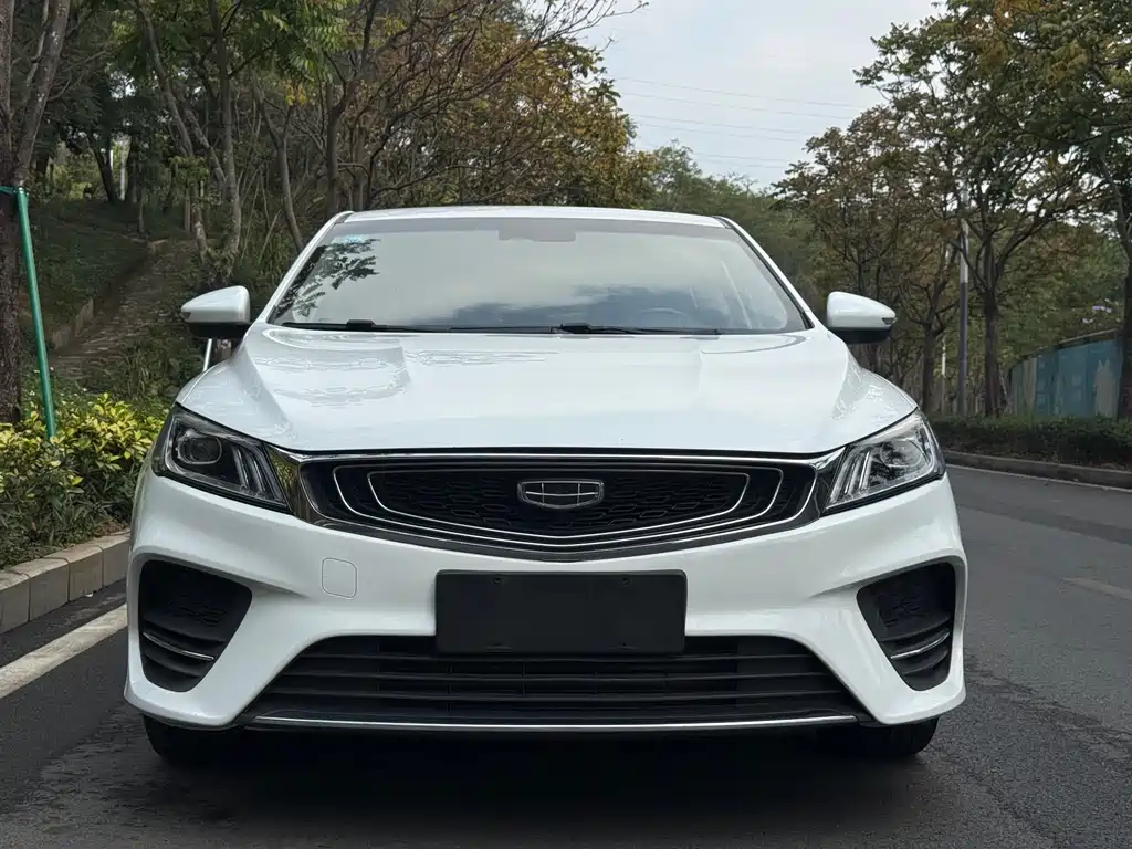 Geely Binrui 2019