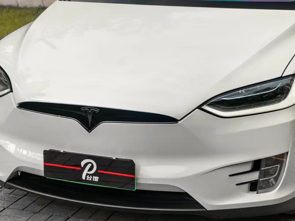 Tesla Model X 2017 — фото 7