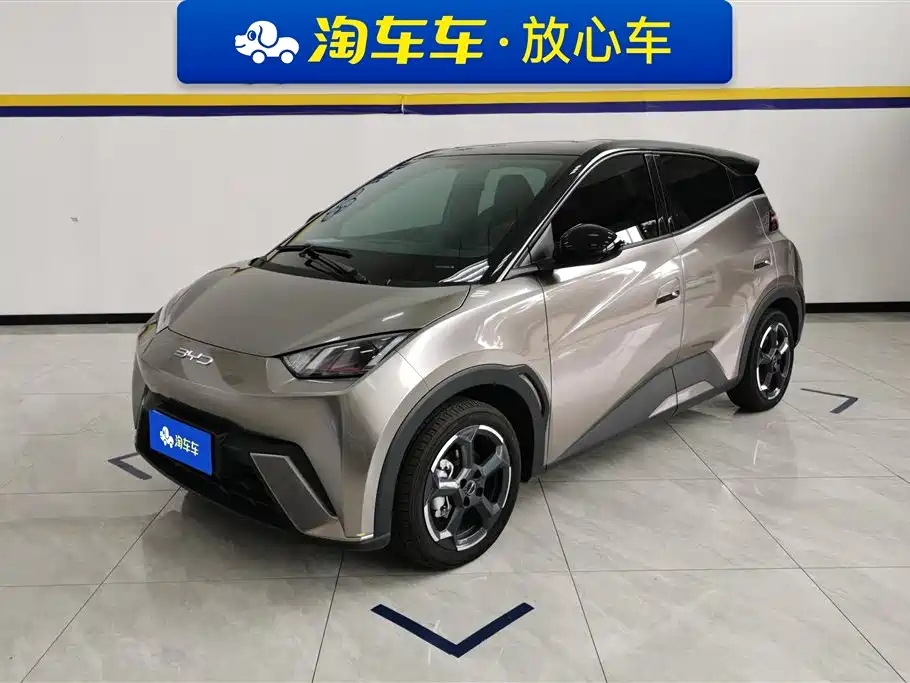 BYD Seagull 2024