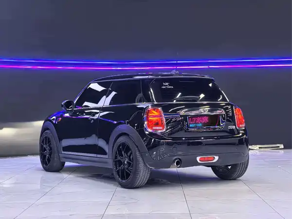 MINI MINI 2017